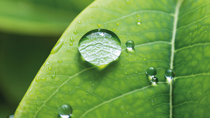Gestion de l’eau NTN Europe