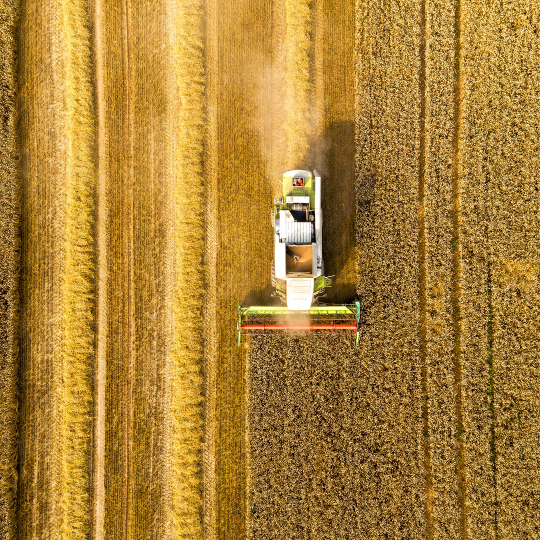 Roulements pour chaque équipement