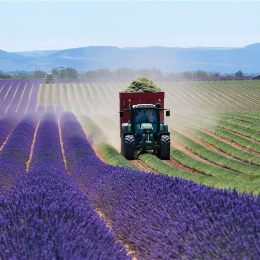 Roulement transmission tracteurs