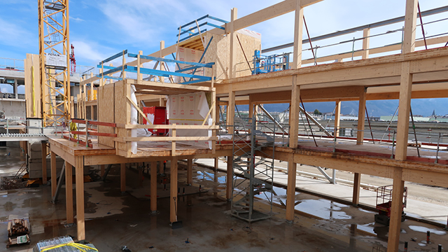 Wooden structure - NTN Europe new headquarter