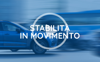 Stability in motion