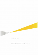 Avis Ernst & Young 2024